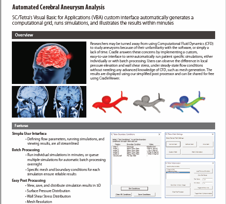 Cerebral Aneurysm Prediction: Life Saving Potential with CFD Simulation